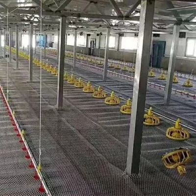 Linear Feeder Poultry Automatic Pan Feeding System