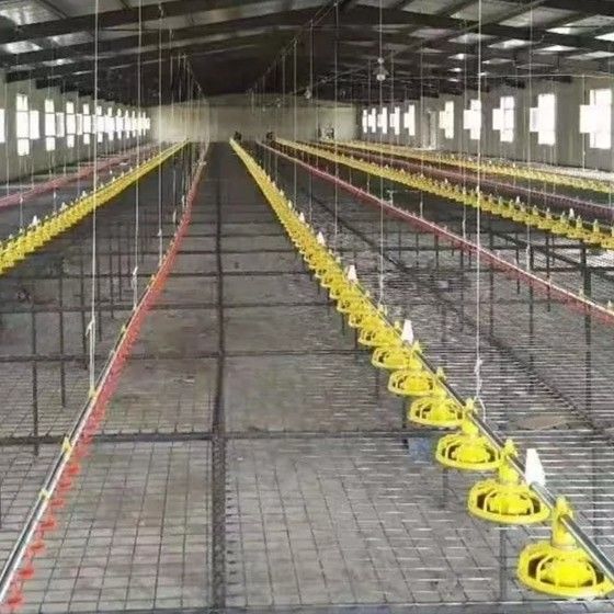 Linear Feeder Poultry Automatic Pan Feeding System