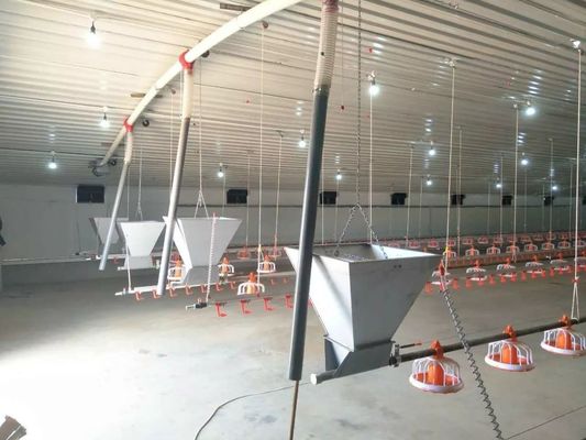 養鶏場の鎖の自動鍋の供給システム1段階